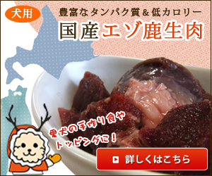 国産エゾ鹿生肉